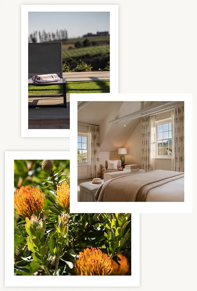 brookdale collage